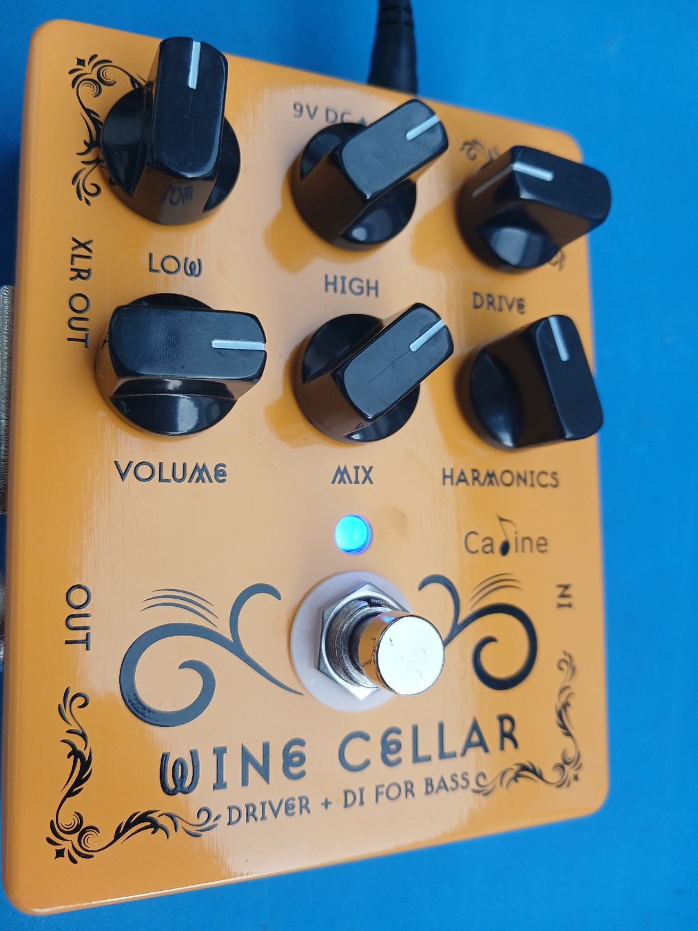 Strumenti musicali: Caline Wine Cellar bass drive + di – Nuovo (secondo la descrizione) da Penthalaz venduto da Allgoodsuisse