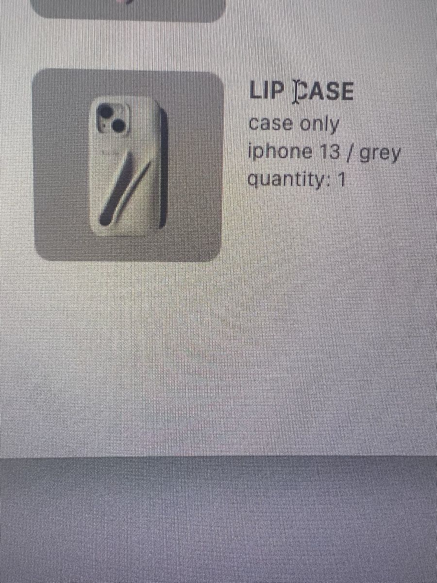 Apple Cover & Protezioni schermo: Rhode LIP CASE iPhone 13 Grey – Usato da Herrliberg venduto da swissmissus 2