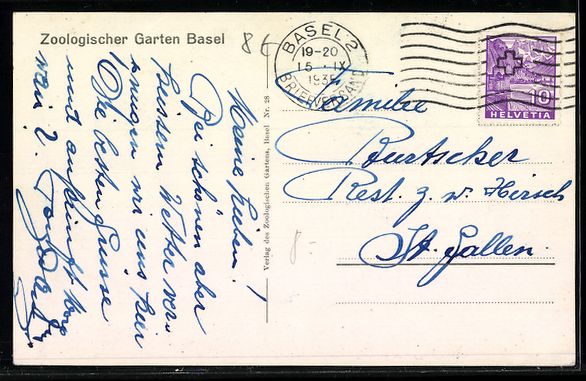 Cartoline postali: AK Basel, Zoologischer Garten, Eisbären – Usato da Berlin venduto da bartko-reher 1