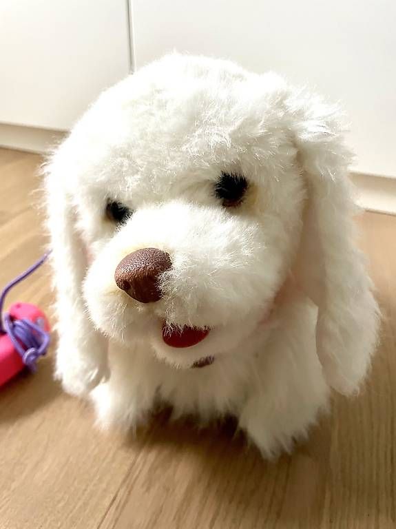 Giocattoli: Chien interactif Furreal friends  – Usato da La Tour-de-Peilz venduto da K_L 2