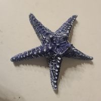 Blaue Deko Seestern, Sommerfeeling für Zuhause! Neu.