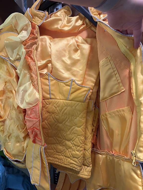 Kostüme: Fasnachts Kleid – Gebraucht aus Inwil von kel_df7w 1