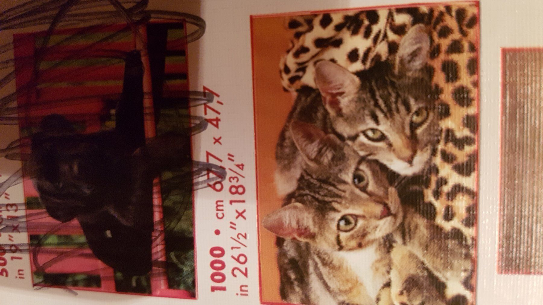 Puzzle: Puzzle 2x 1000tlg.. Pferde Katzen B – Usato da Schwarzenburg venduto da Flamingo07 1