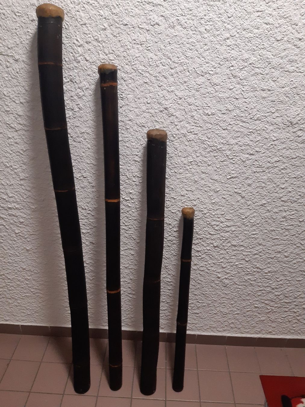 Strumenti musicali: DIDGERIDOOS 4 pièces, 4 tailles neuves – Nuovo (secondo la descrizione) da Genève venduto da dieudedieu