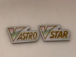 Pokemon Token V Astro V Star