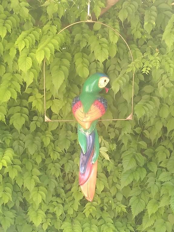 Tutte le decorazioni: Perroquet sur son perchoir – Usato da Neuchâtel venduto da SyMil 3