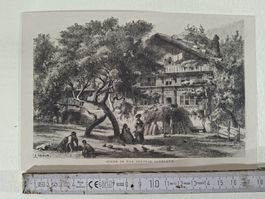 Lot  80 , 5 Stiche