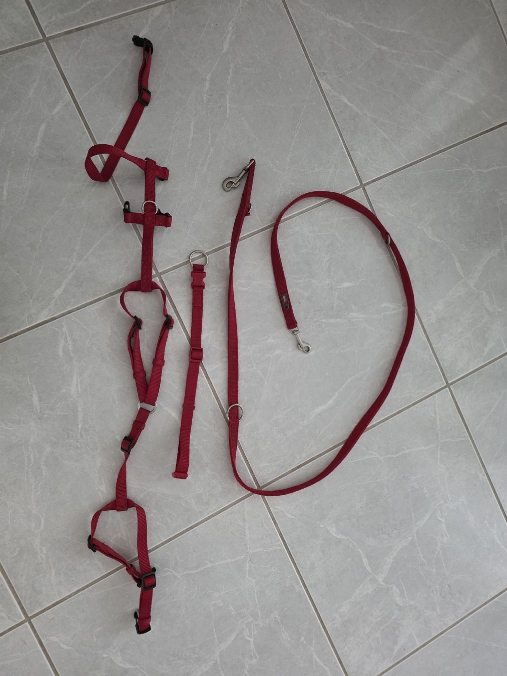 Trixie Guinzagli & Collari: Trixie Dog Harness + Leash Set Size M Used – Usato da Thalwil venduto da Derekdez