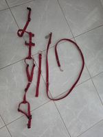 Trixie Dog Harness + Leash Set Size M Used