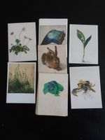 Albrecht Dürer 13 Kunstkarten 7 Motive