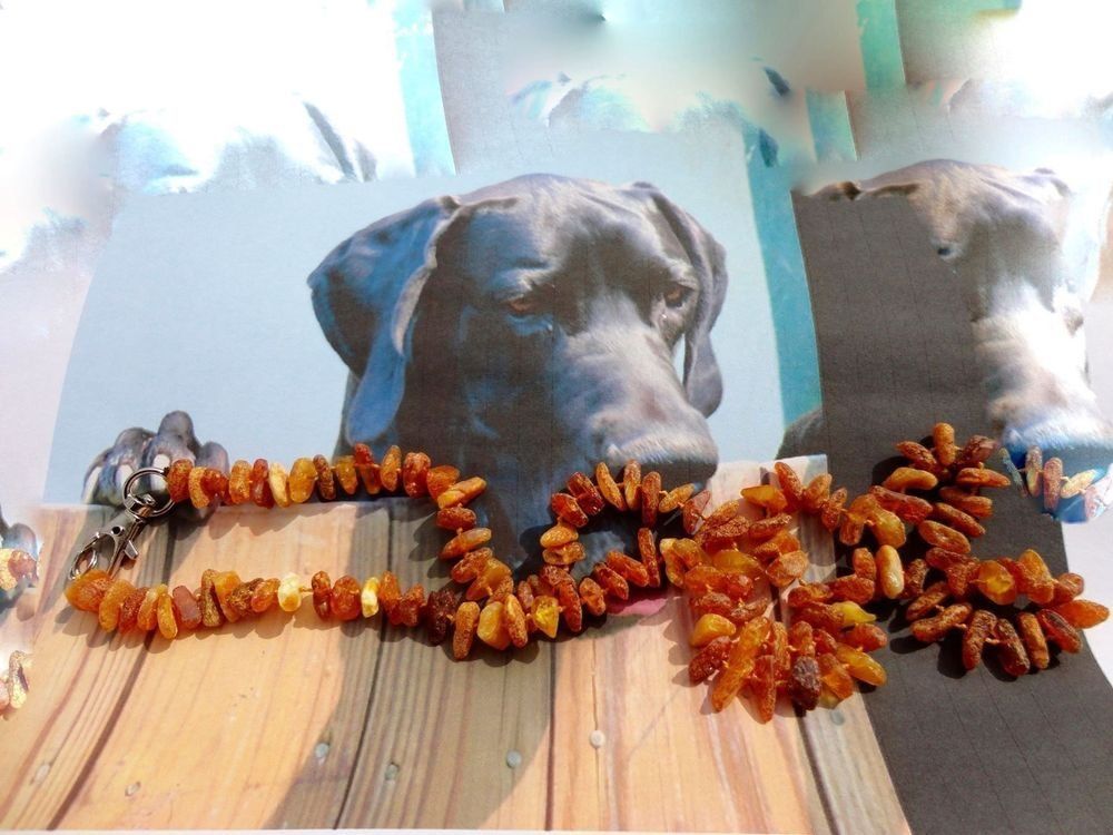 Catenine: Hunde- Bernsteinkette /Amber/Ambre – Nuovo (secondo la descrizione) da Biberist venduto da tl-schmuck
