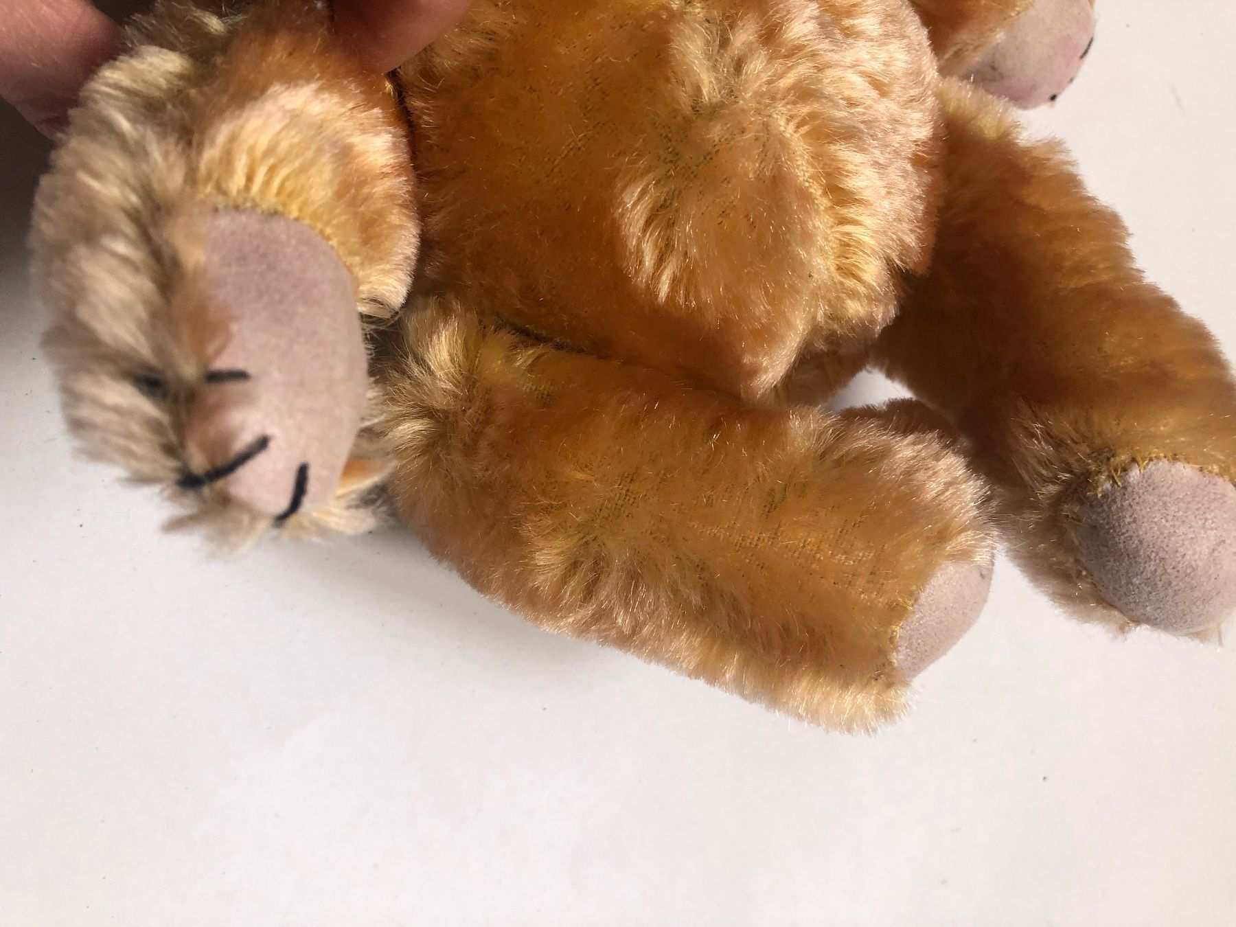 Spielzeuge: Ours en peluche – Gebraucht aus Arnex-sur-Orbe von cameleonfringant 7