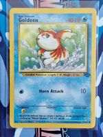 Goldeen - Goldini - Jungle Dschungel - Unlimited