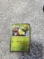 Chikorita (MEP 069) MEP Black Star Promos