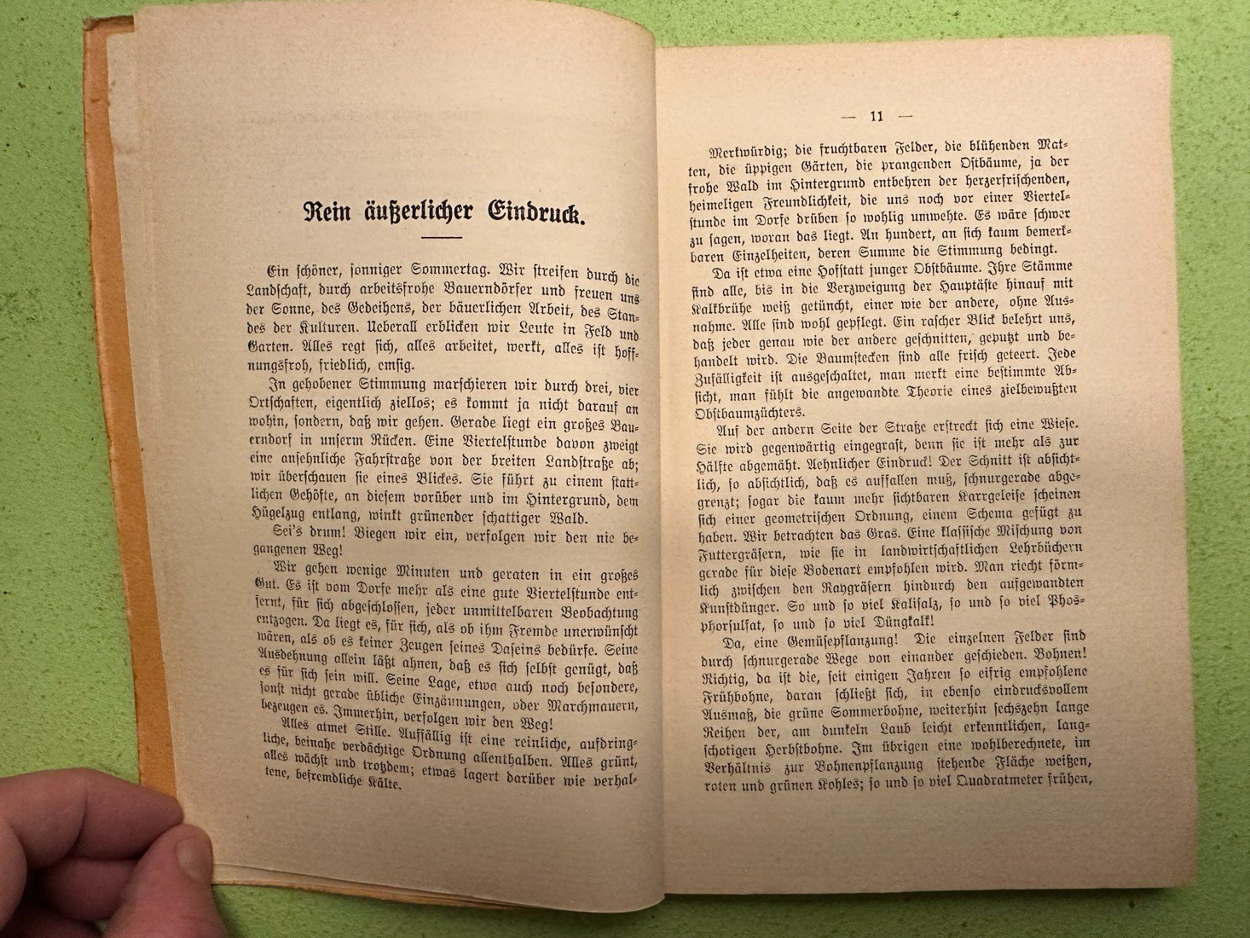 Libri: C. A. Loosli: Anstaltsleben. 1924 – Usato da Zürich venduto da allp 3