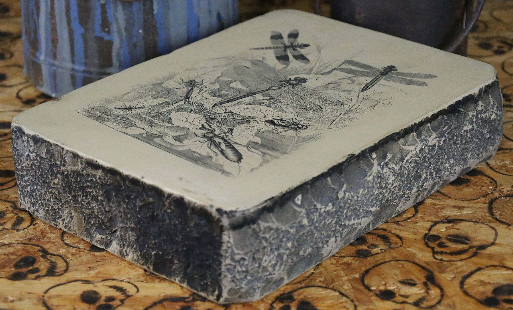 Grafiken & Lithographien: Lithostein, Lithographie "Libelle, Libellen" – Gebraucht aus Birrwil von brandschatz_birrwil 4