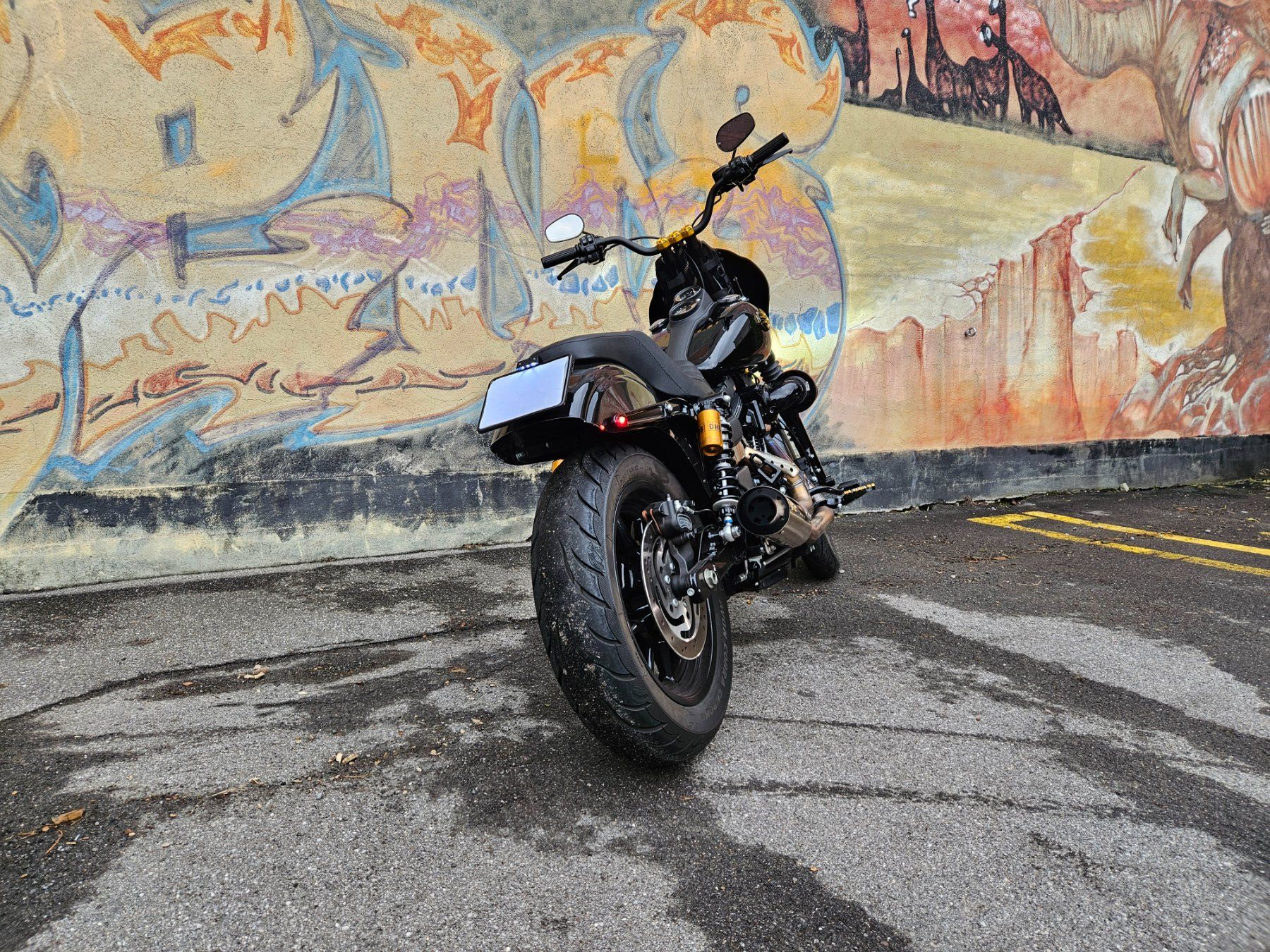 Harley-Davidson Chopper: Harley Davidson Dyna Low Rider S – Usato da LUZERN venduto da acc_8v97 5