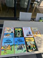 Tim und Struppi/ Tintin