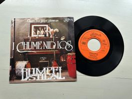 RUMPELSTILZ POLO HOFER Chume nid los rare SWISS 7" Kult Top
