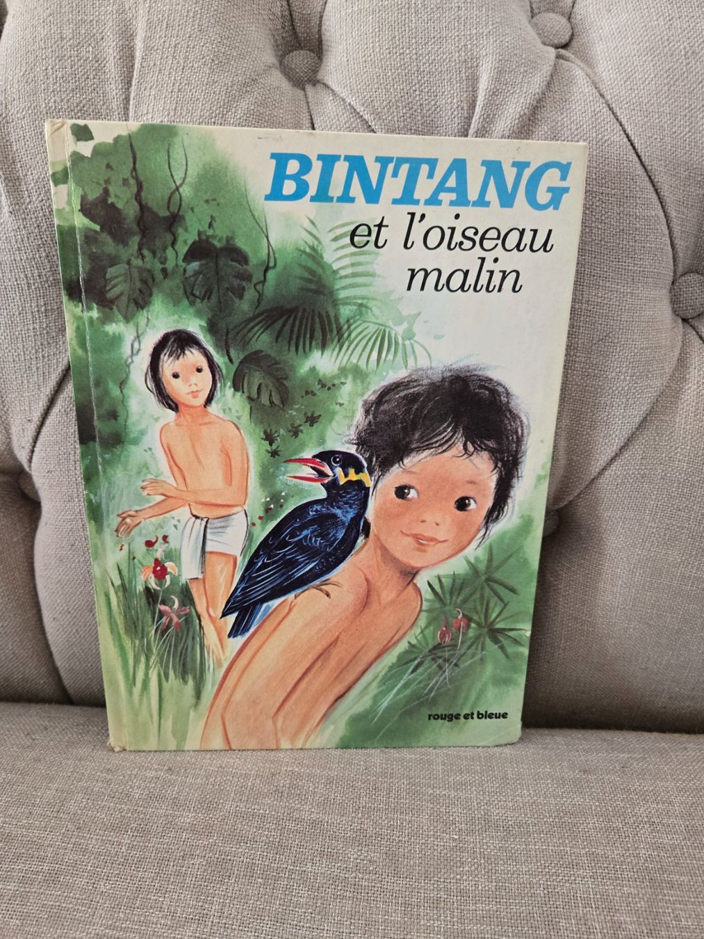 Libri: Bintang et l'oiseau malin – Usato da Crémines venduto da Blakedrake