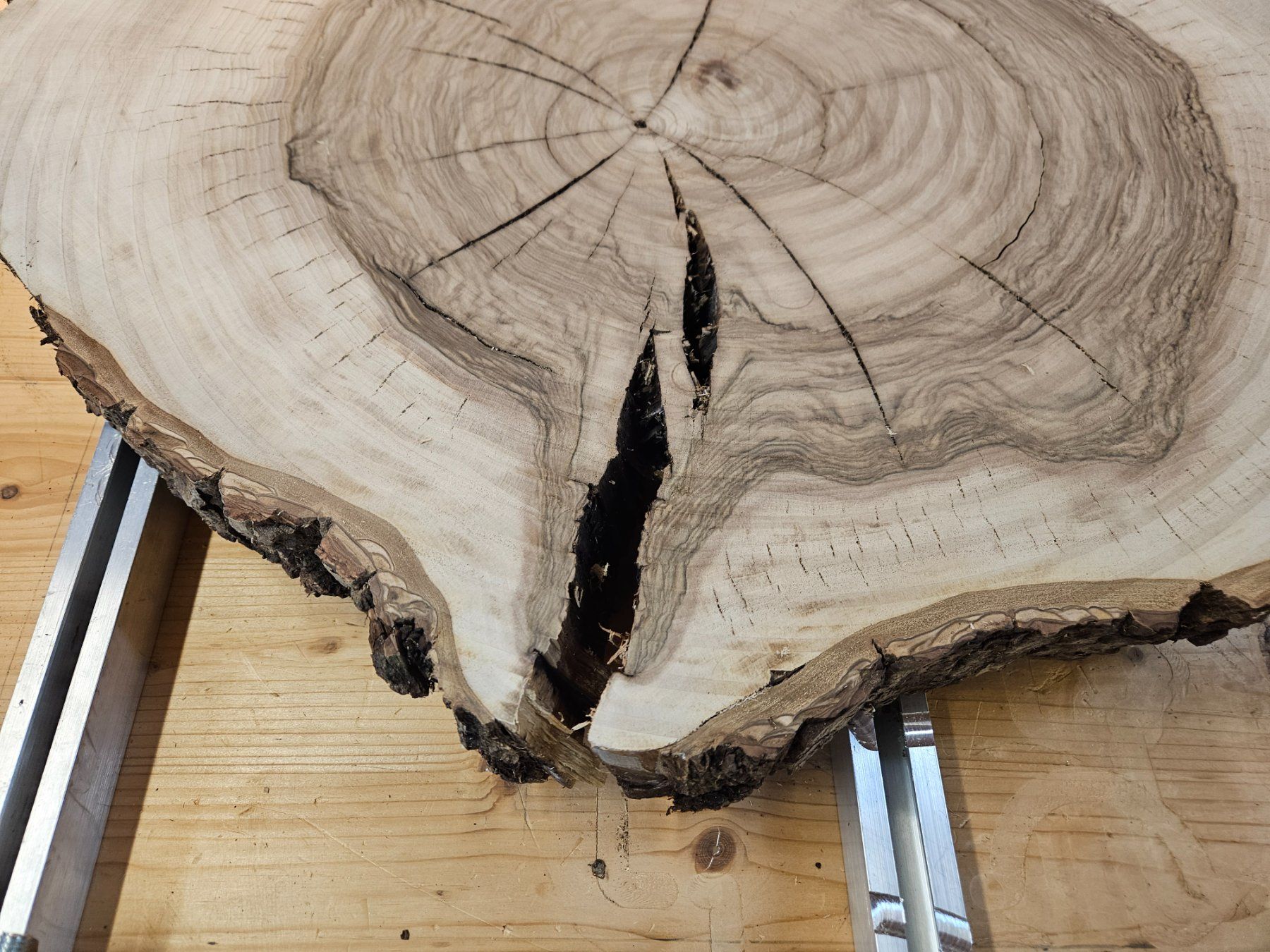 Articoli in legno: Nussbaum Holz Baumscheibe – Nuovo (secondo la descrizione) da Schangnau venduto da egli6.2 2