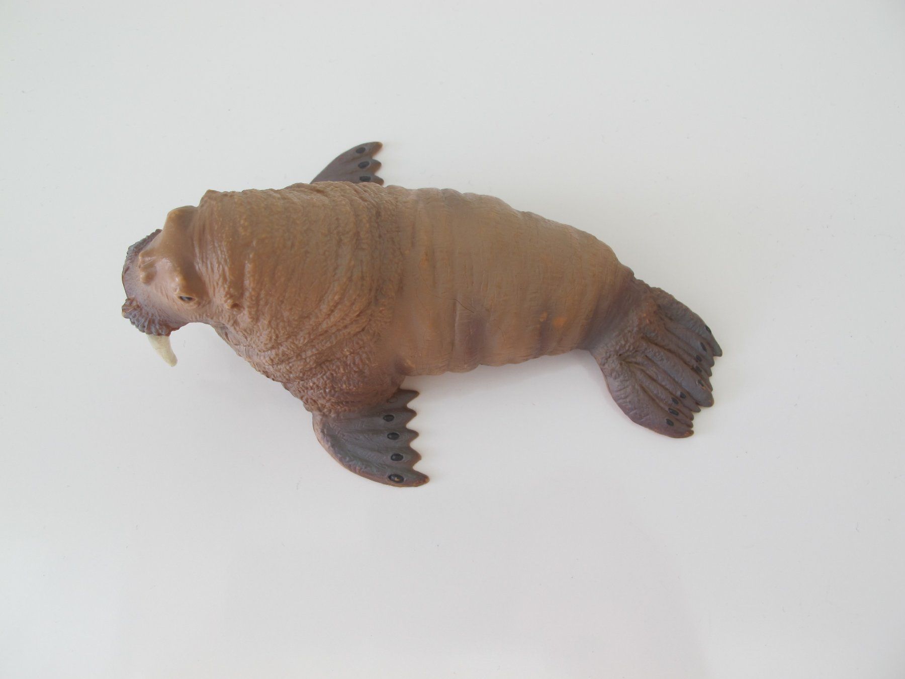 Schleich Statuette: Schleich 16080 Walross, Seetier – Usato da Vilters venduto da hedi00 6