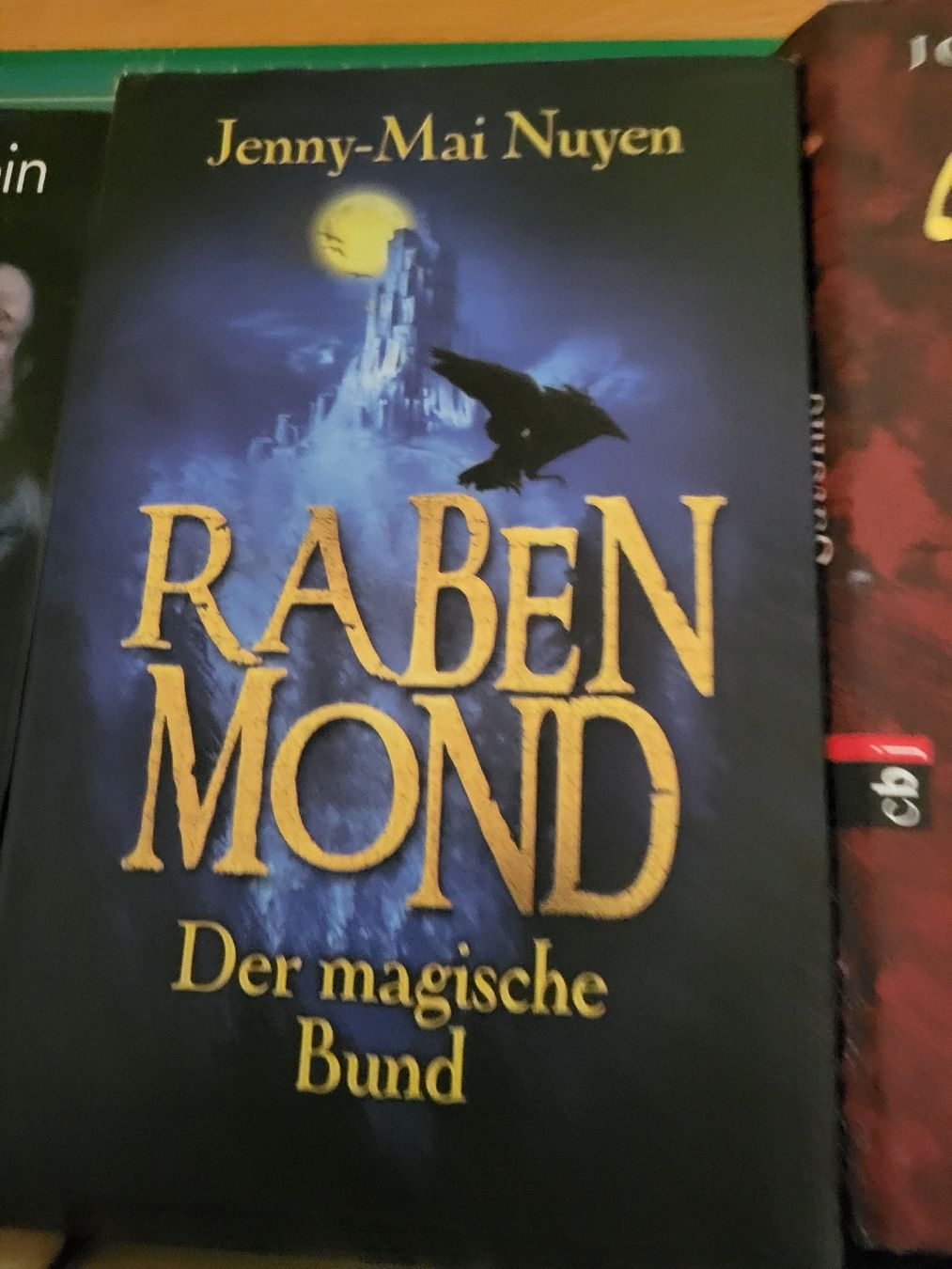 Libri: 8 Fantasybücher – Usato da Möriken AG venduto da Vandine 3