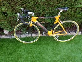 Cilo triple plateau Carbonne T56