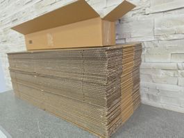 50 Versandkarton 700x100x100mm Faltkarton Karton einwellig