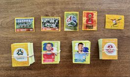 730 Paninis WM 2026, KEINE doppelten!