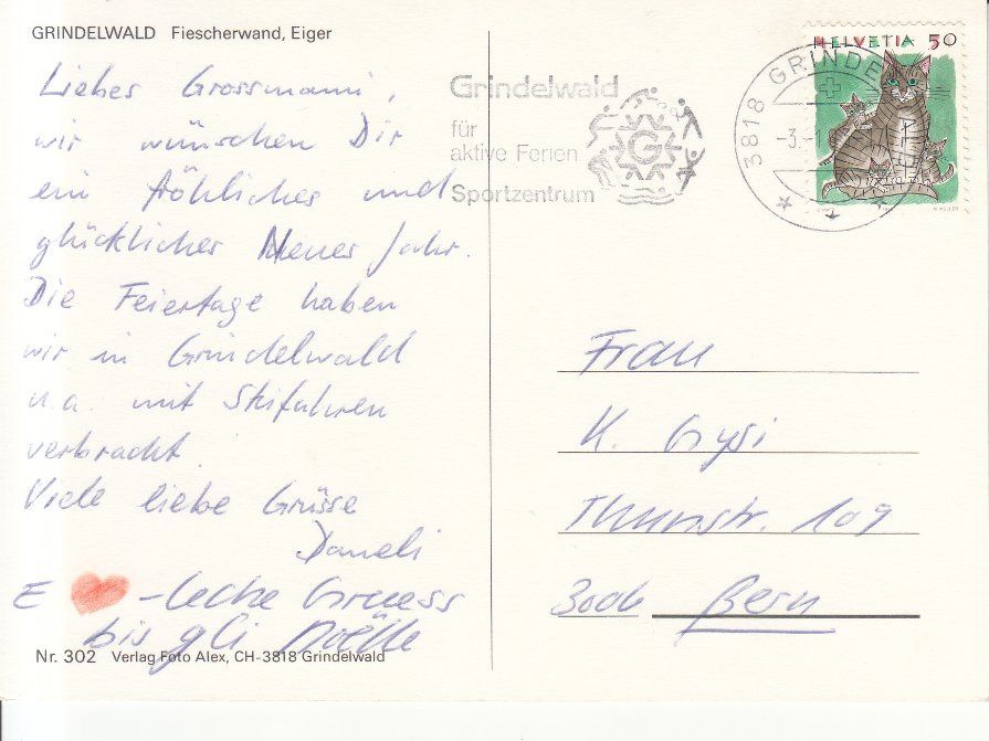 Cartoline postali: Grindelwald 1993 – Usato da Bürglen TG venduto da StampGraf 1