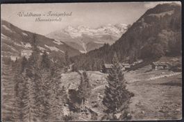 Waldhaus  -  Tenigerbad  im Somvixertal  :  alte AK von 1912