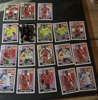 Gros lot extra stickers panini 2026 