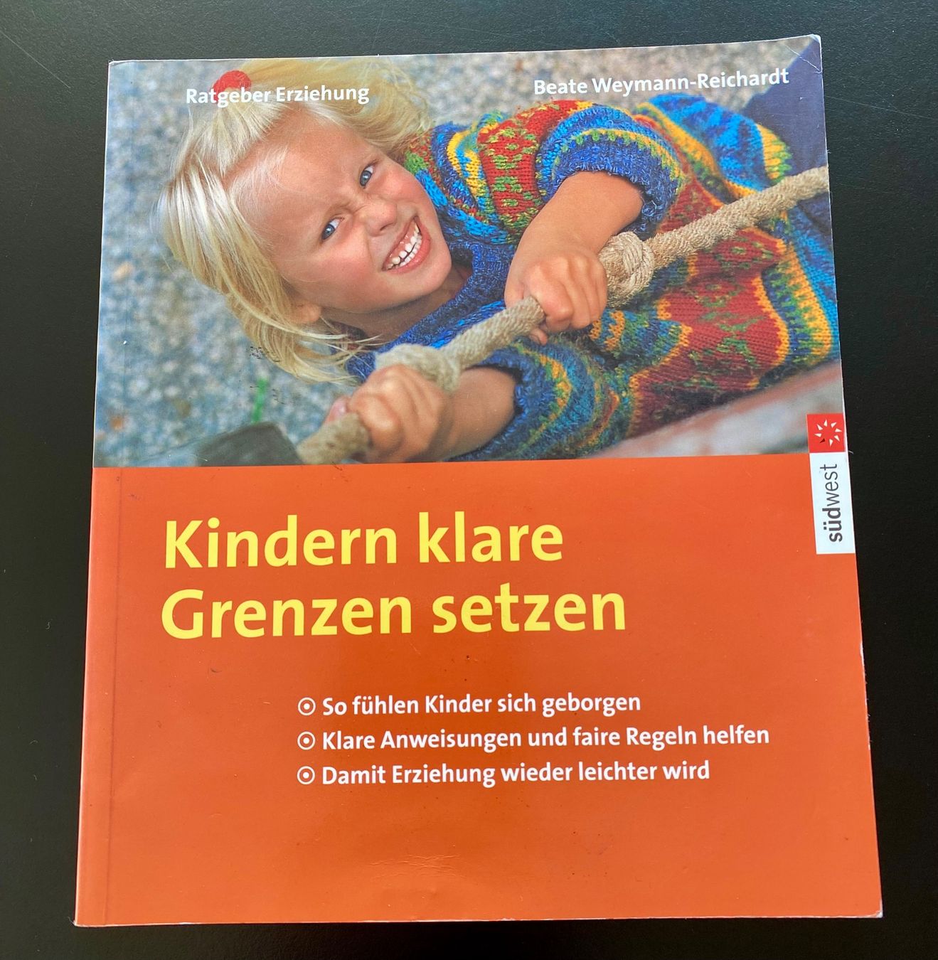 Libri: Kindern klare Grenzen setzen / Ratgeber – Usato da Nussbaumen AG venduto da schuba2000