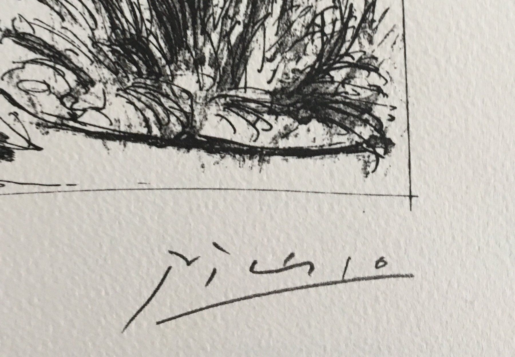 Grafiken & Lithographien: Pablo Picasso   Buffon  "Le Belier" – Gebraucht aus Nennigkofen von Sommersonnen 6