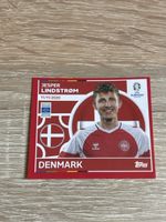 Carte euro 2024, Danemark numéro 14