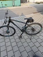 Herren Mountainbike 