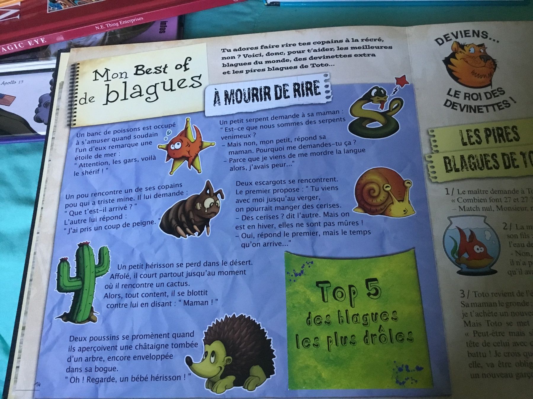 Libri: BOYS BOOK, 100% garçons, éditions LAROUSSE – Nuovo (secondo la descrizione) da Genève venduto da Mazelyne 4
