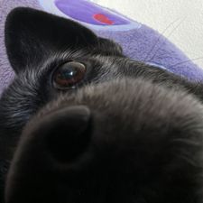 Profile image of ana_m8qb