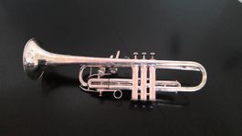 Trompete Stainler