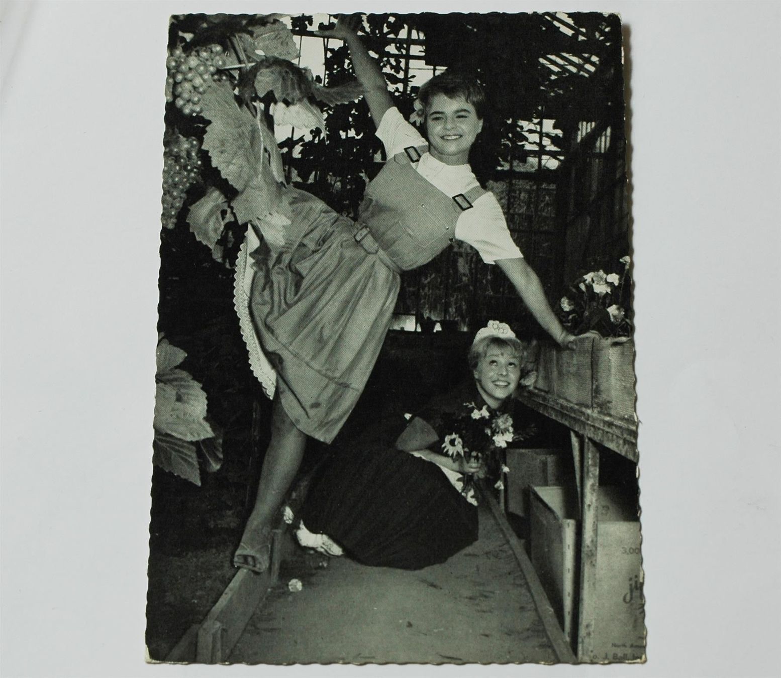 Cartoline postali: Conny Froboess Postkarte 1959 – Usato da Schaffhausen venduto da RolfMeister
