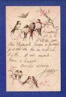 OISEAU - Hirondelles