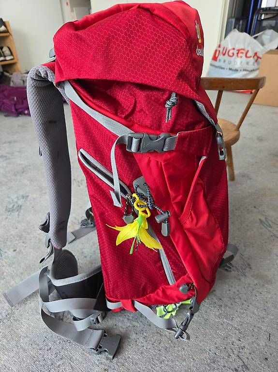 Deuter Sacs à dos: Rucksack deuter – D'occasion à Worb par Cdavinci 2