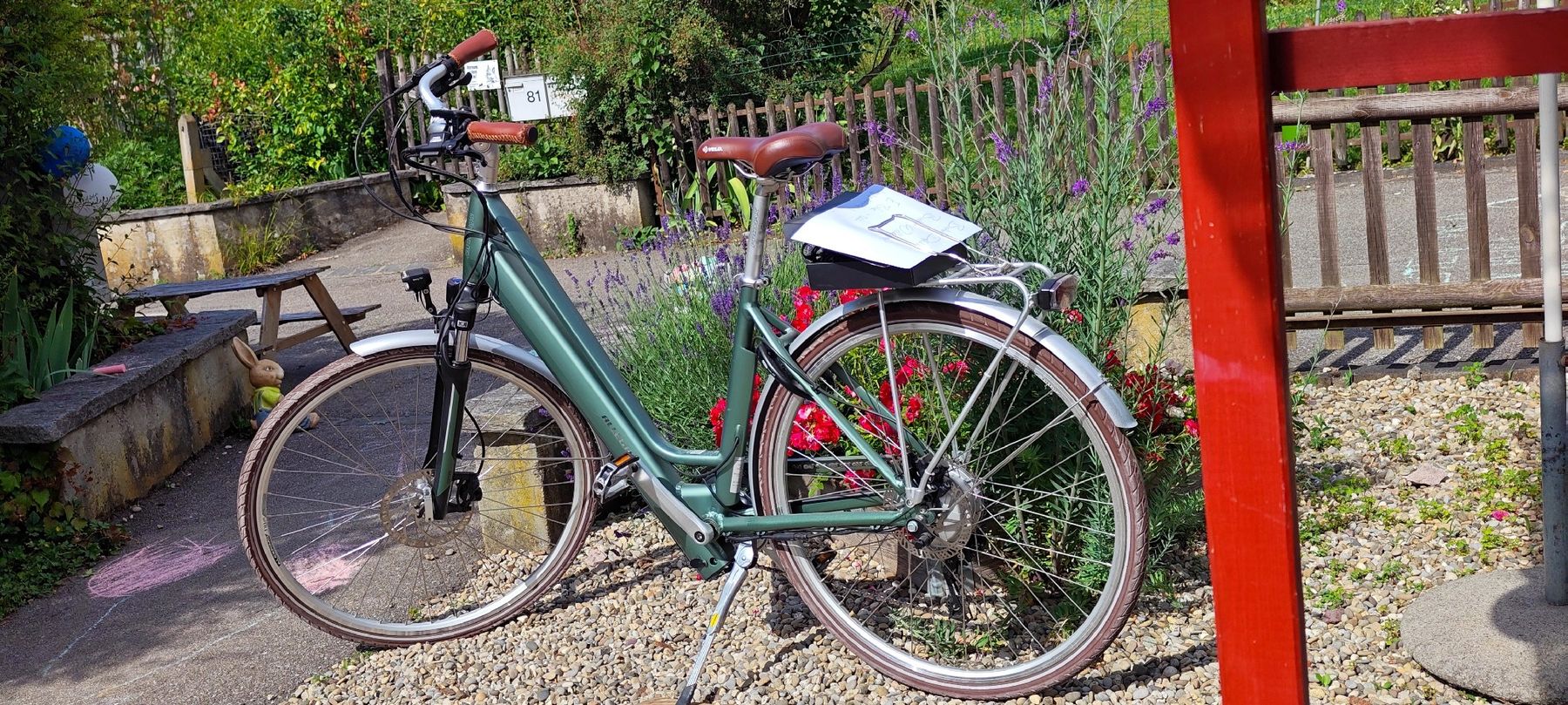 Biciclette: Defekt: e-Bike Allegro ACIL 3 – Difettoso da Dornach venduto da GoingtoJapan