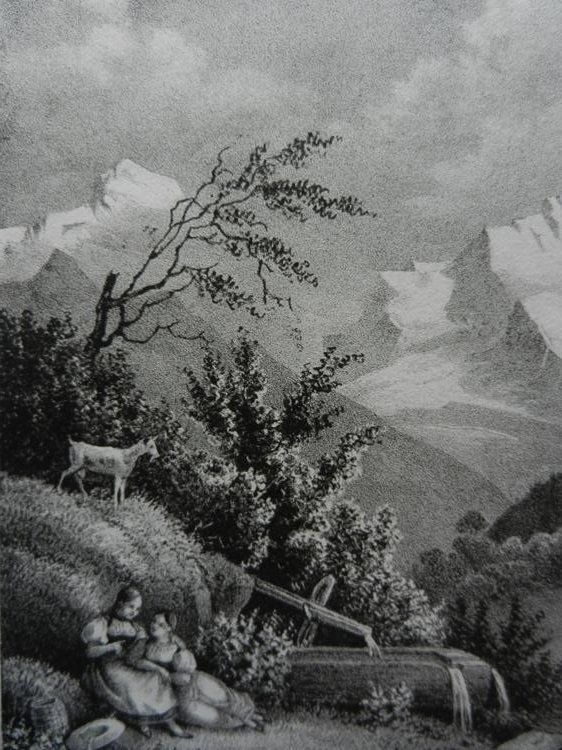 Gravures: Unspunnen Wilderswil – D'occasion à Risch par Rischli15 3