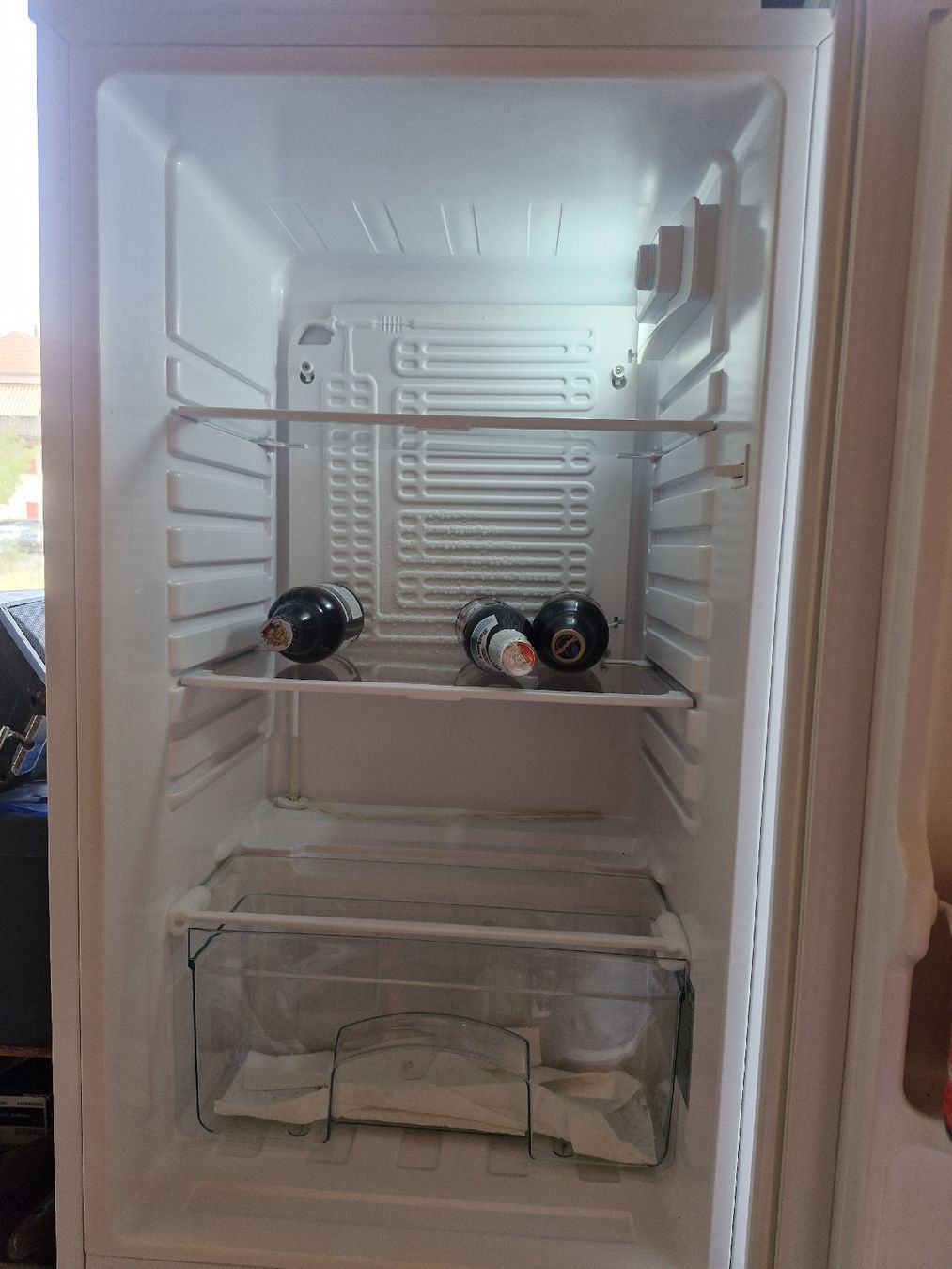 Novamatic Frigoriferi: Kühlschrank Novamatic KS088 Cooler  – Usato da Detligen venduto da ValentinoV 2