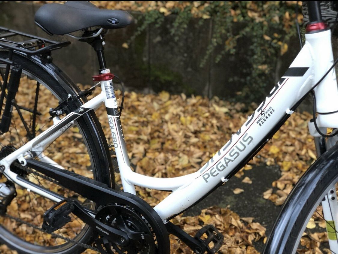 Biciclette: Velo Pegasus – Usato da Meggen venduto da mil_9p8n 3