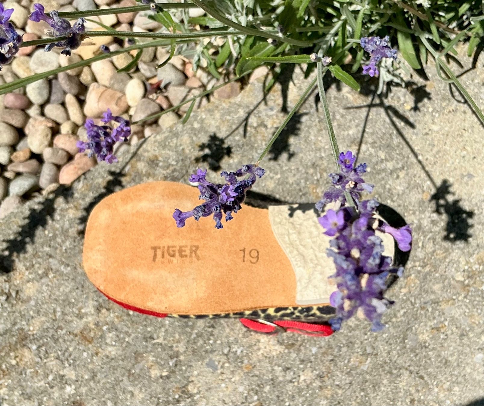 Giocattoli: HERZIGES ALTES TIGERFINKLI UNBENUTZT – Usato da Zell LU venduto da Silvermemory 5