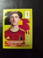 Panini FIFA World Cup 2026 BEL 12