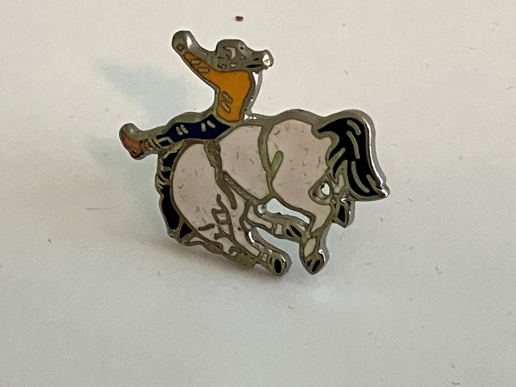 Placchette & Badge: 1 Pin Rodeo – Usato da Basel venduto da djwwpp